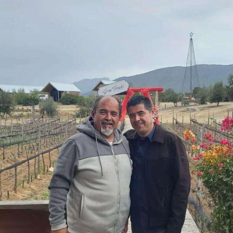 Ensenada: Old Wine Route Tour with 4 Winery Visits - Visiting Wineries: What Youll Love and What to Watch For