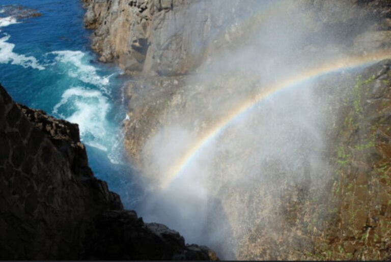Ensenada: Private Tour to La Bufadora Geyser - The Value of This Tour