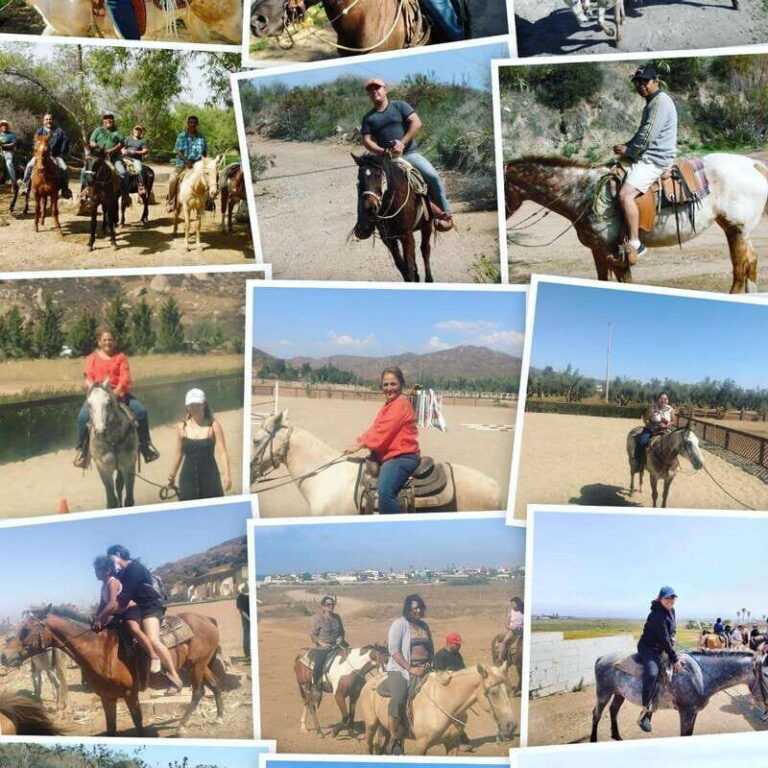 Ensenada: Punta Banda Horseback Riding Tour - Who Should Consider This Tour?