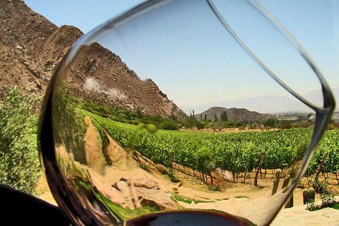 Ensenada Shore Excursion: Entre Santos and El Cielo Winery Tours with Lunch - The Realities of the Tour