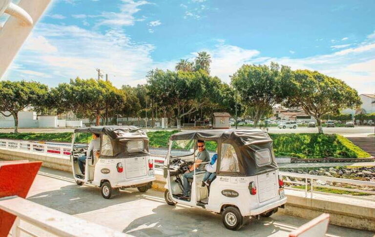 Ensenada: Street Gourmet Tour with Tacos and Drinks - What the Tour Looks Like