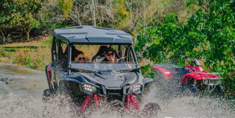 Ensenada: UTV Racing Car 4 Pax Off Road Drive Tour - The Practical Side: Cost and Value