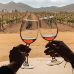 Ensenada: Valle de Guadalupe Wine Tasting Tour - The Region and Its Architectural Charm