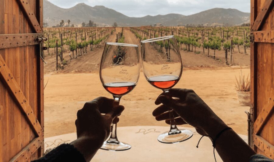 Ensenada: Valle de Guadalupe Wine Tasting Tour - The Region and Its Architectural Charm