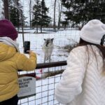 Escaping Anchorage Spring Wildlife Tour - What This Tour Means for Travelers