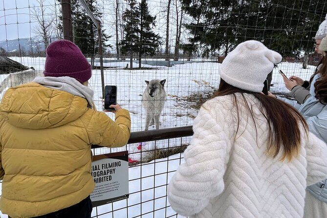 Escaping Anchorage Spring Wildlife Tour - What This Tour Means for Travelers