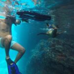 Espiritu Santo Island Snorkel & Sea Lion Adventure - What’s Included and What’s Not