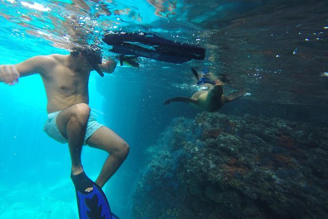 Espiritu Santo Island Snorkel & Sea Lion Adventure - What’s Included and What’s Not