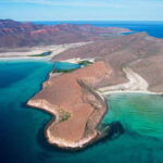 Espiritu Santo Island: Snorkeling Sea Lion Adventure - Who This Tour Suits Best