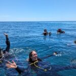 Espíritu Santo Private Scuba Tour - The Value for Money