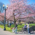 Essential Portland Oregon Bike and E-Bike Tour! - Why This Tour Works for Travelers