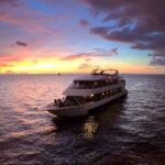 Evening Yacht Cruise with Optional Dining in St. Petersburg - Key Points