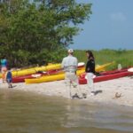 Everglades: Boat Assisted Kayak Eco Tour - Who Should Consider This Tour?