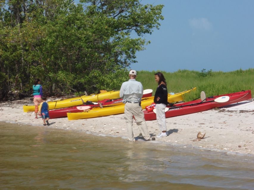 Everglades: Boat Assisted Kayak Eco Tour - Who Should Consider This Tour?