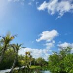 Everglades: boat tour with transportation& entrance included - Final Thoughts: Is This Tour Right for You?