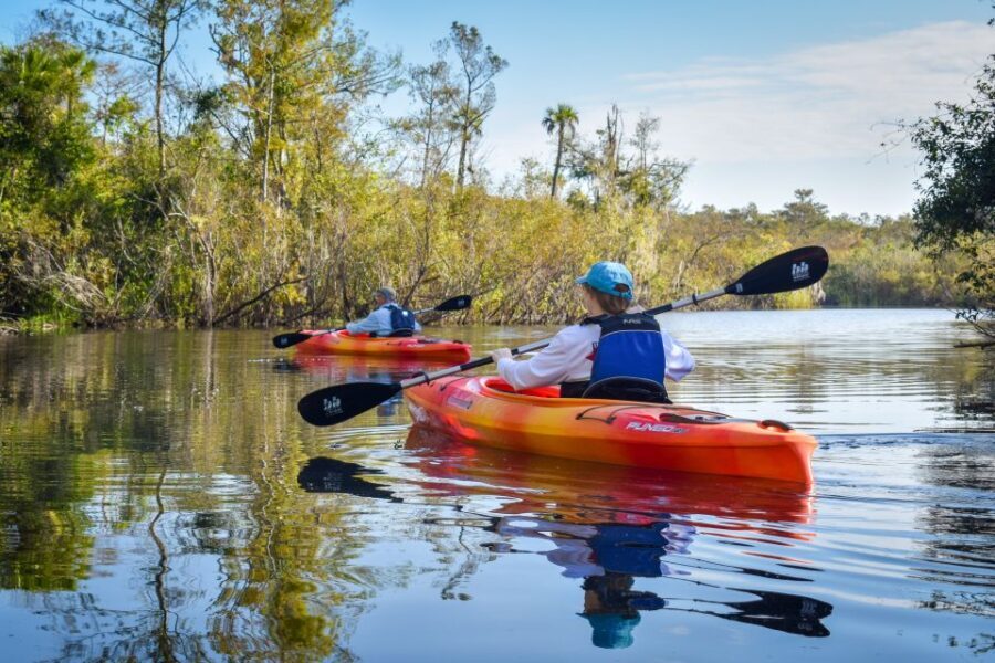 Everglades City: Guided Kayaking Tour of the Wetlands - Final Thoughts