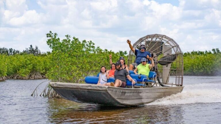Everglades: Mangrove Maze Airboat Tour and Boardwalk - The Details of the Tour