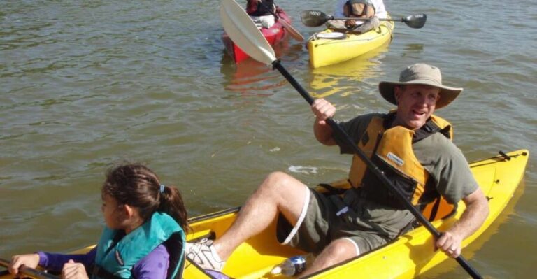 Everglades National Park 3-Hour Kayak Eco Tour - What to Expect on the Tour