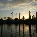 Everglades National Park: Motorboat Eco Tour - Key Points