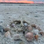 Everglades Pirate and Beach Adventure - Final Thoughts