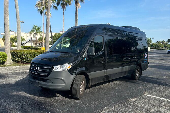 Everglades Tour from Miami with Transportation - Transportation and Comfort