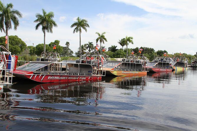 Everglades VIP Airboat Tour with Transportation Included - The Alligator Show: An Optional but Noteworthy Addition