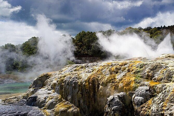 Ex Auckland: Rotorua Mori Village with Haka and Hot Springs - What’s Good and What’s Not