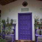 Ex hacienda, rancho de lavanda y Val'Quirico (private tour) - An In-Depth Look at What You Can Expect