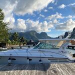 Exceptional whale watching in a Tahiti Yacht - Sailing in Style and Comfort