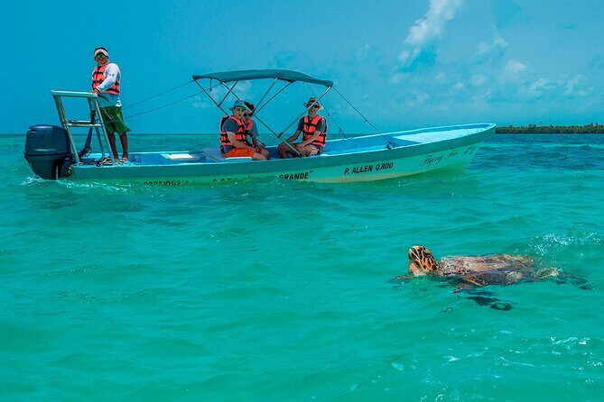 Exclusive Full Day Nature Expedition in Sian Ka'an - What We Love About This Tour