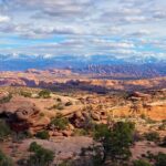 Exclusive Half Day Dead Horse Point Guided Mountain Biking Tour - The Experience in Practice