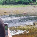 Exclusive Locations Private Bear Viewing - FAQs about the Exclusive Private Bear Viewing Tour