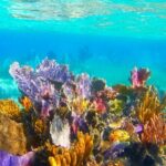 Exclusive Private Boat to El Cielo - The Practicalities: What You Need to Know