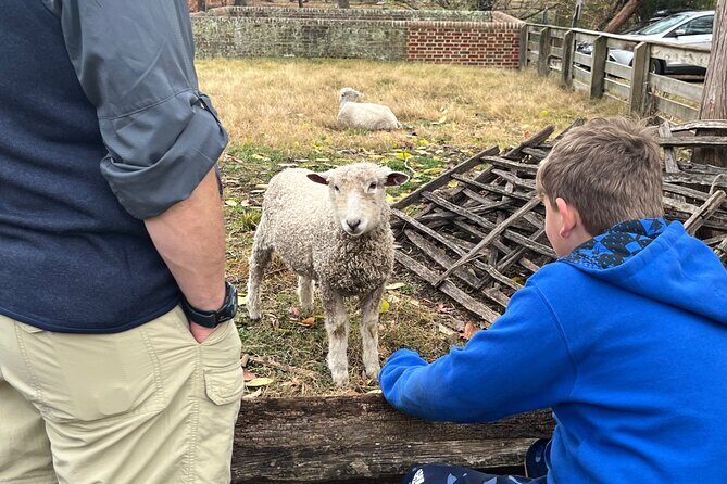 Exclusive Private Colonial Williamsburg Walking Tour by a Local - Visiting Tarpley, Thompson, And Company