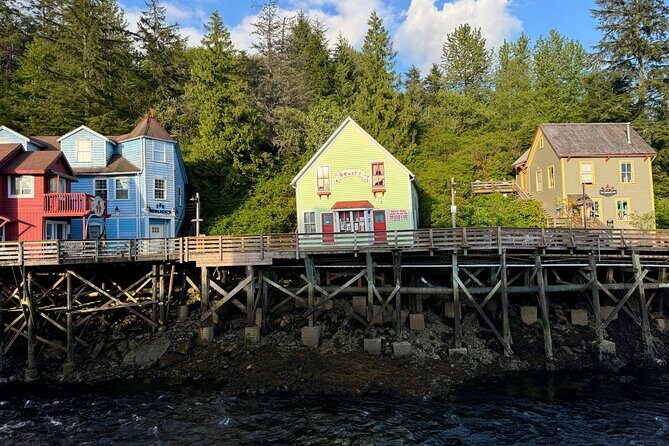 Exclusive Van Experience - Who Is This Tour Best For?