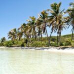 Excursion Isla Contoy & Isla Mujeres from Cancun - What Recent Guests Say