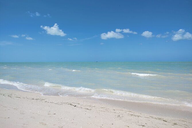 Excursion to Celestun, Swimming, Hiking & Boat Ride - The Value and Practical Considerations