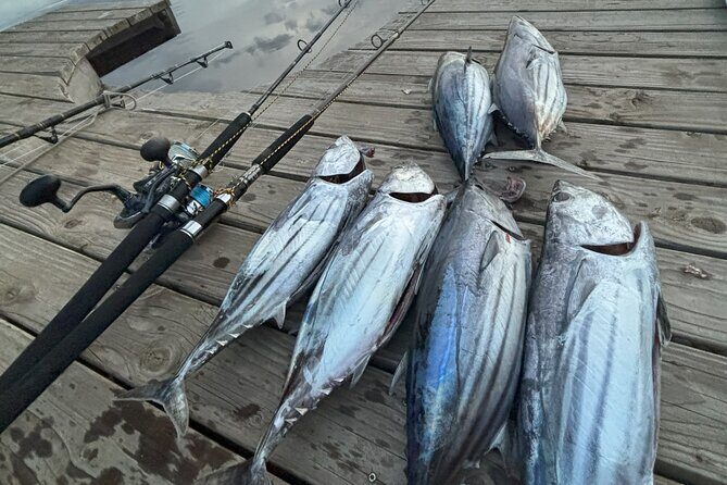 Exit fishing wholesale - What to Expect from the Itinerary