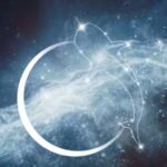 Exmouth Milyering: Cape Range National Park Astronomy Tour - The Value of the Experience