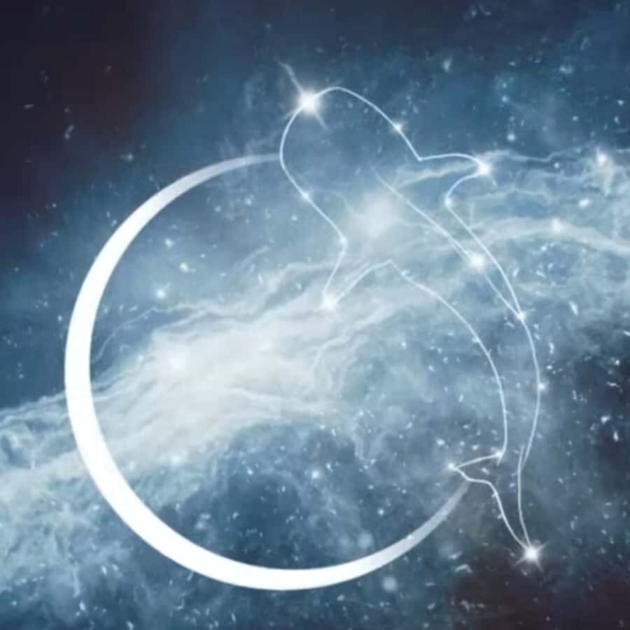 Exmouth Milyering: Cape Range National Park Astronomy Tour - The Value of the Experience