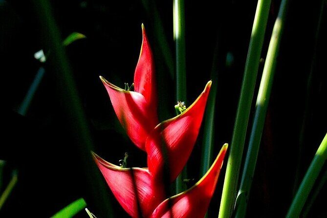 Exotic Garden EN Rancho Ecoturístico - Practical Considerations and Value