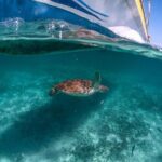 Exotik half a day tour: Cenote Cave and Swimming with Sea Turtles - The Itinerary in Detail