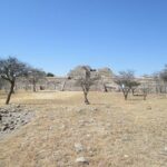 Experience an Archeological Tour in Cañada de la Virgen - Walking Through the Site: What to Expect