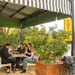 Experience Barossa Valley by E-bike - What Makes This Tour Stand Out