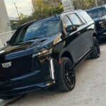 Experience Luxury Ride in Miami The Magic City - Who Is This Tour Best For?