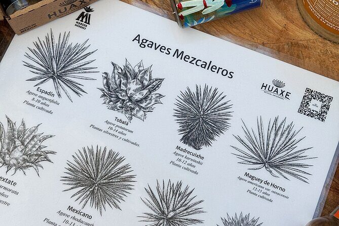 Experience mezcal science tasting and lecture Oaxaca - A Closer Look at the Experience