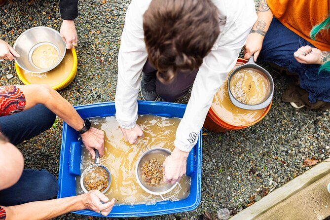 Experience Mining For Genuine Montana Sapphires in Seattle - The Actual Mining and Searching Process