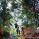 Experience Ourimbah State Forest Networld Adventure - The Experience Breakdown