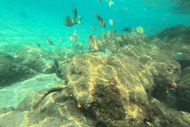 Experience Peanut Island Adventures with Go Pro - Final Thoughts