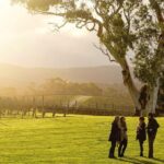 Experience SA Private Barossa Wine Tour- Pickup is in the Barossa - What’s Included and What’s Not